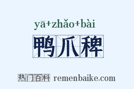 鸭爪稗是什么意思的图片